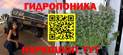 крисы Пугачёв