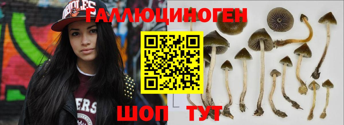 Псилоцибиновые грибы Magic Shrooms Саянск